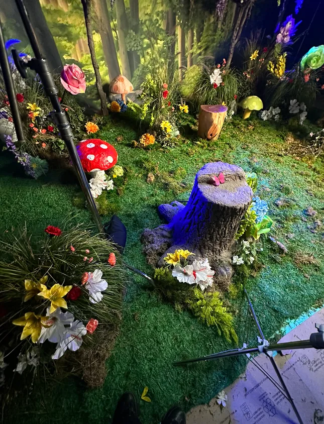 Project image