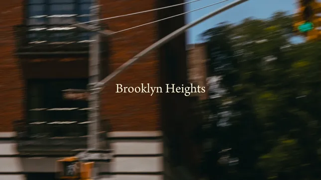 The Brooklyn Diaries: Brooklyn Heights