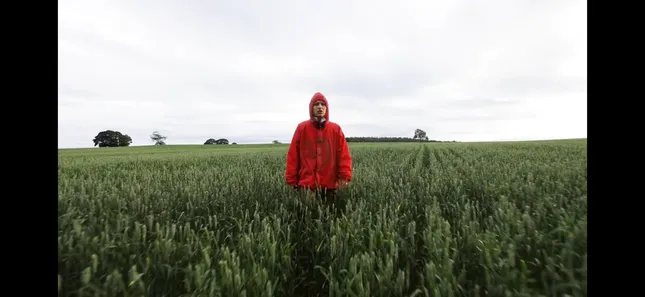 Sink (short film)