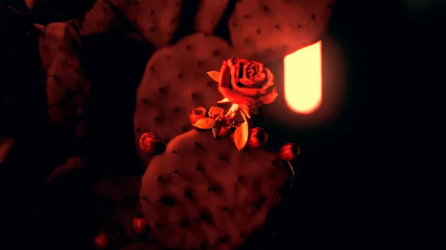 Tour Visual