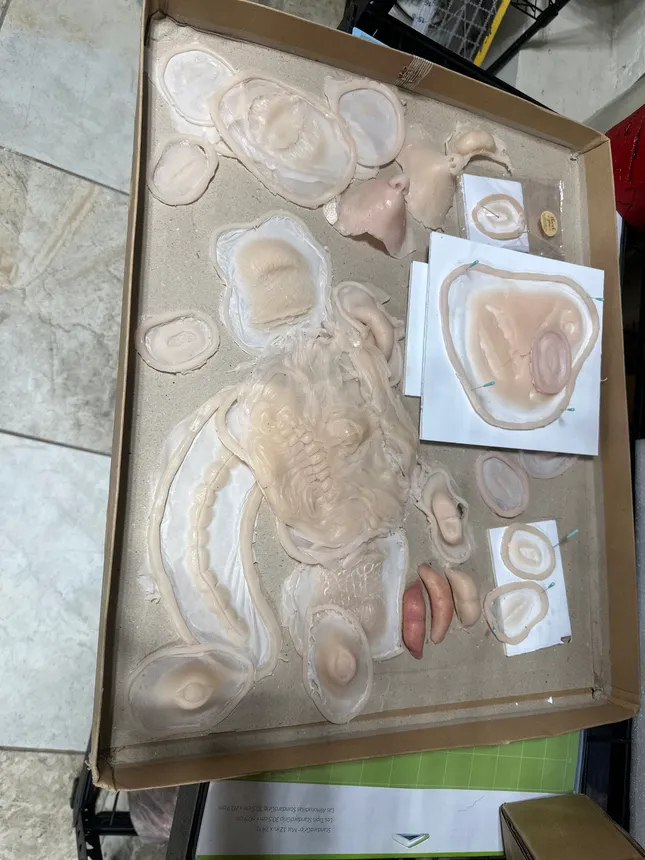 Project image