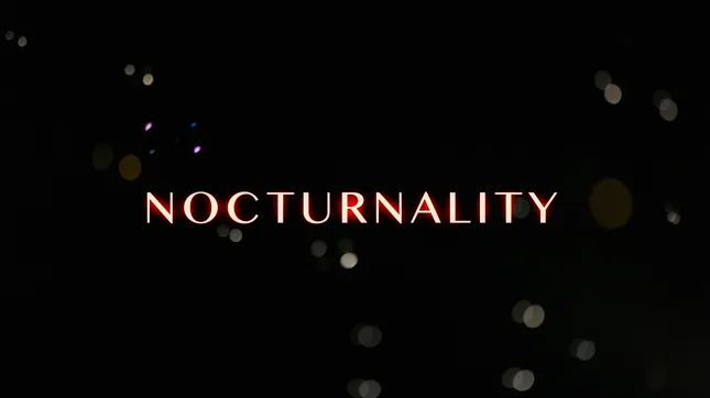 NOCTURNALITY - Fashion Visual