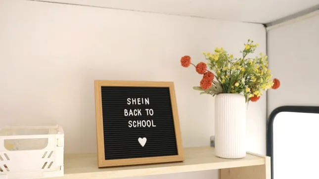 SHEIN BTS TOUR (BOSTON)