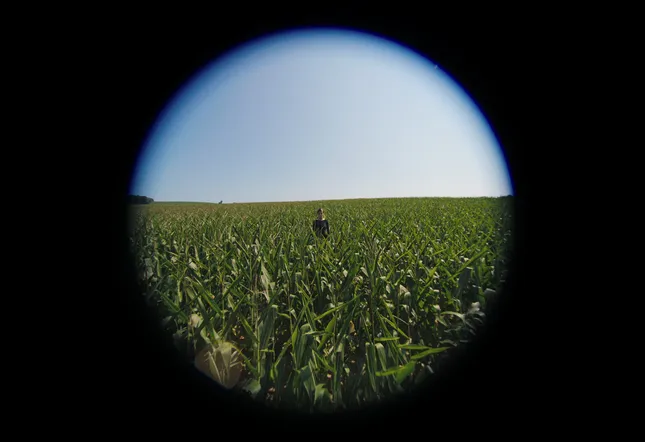 Project image