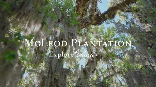 McLeod Plantation
