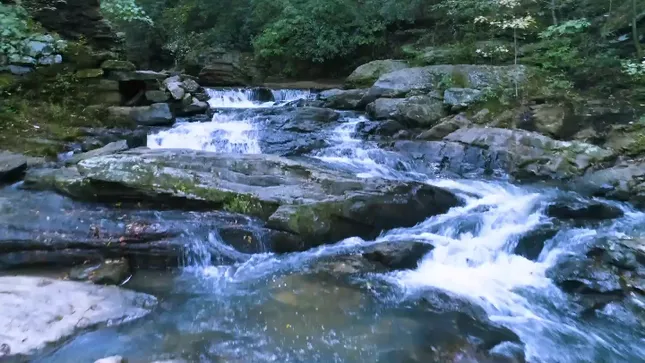 Serene (2020)