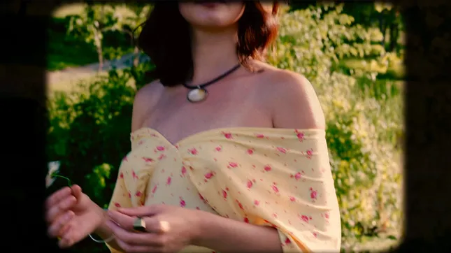 Cinematic Snapshot: Golden Hour
