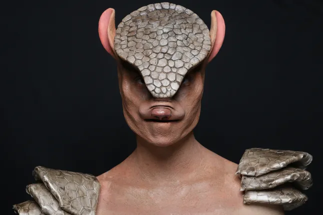 Mighty Armadillo