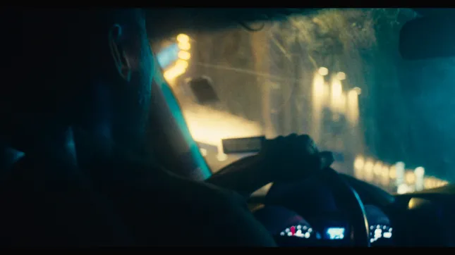 Wild Goose Chase (2022)
