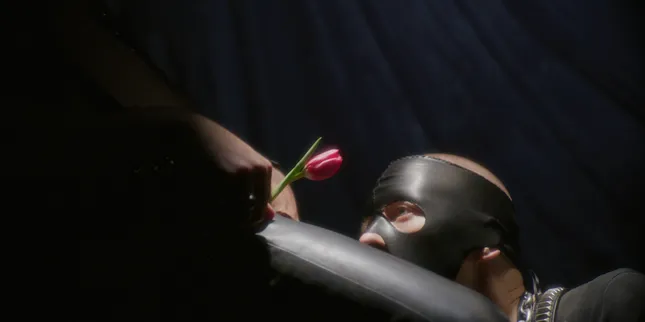 Two Tulips // Trailer