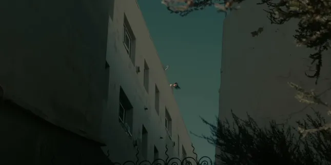 Daniyar's reel