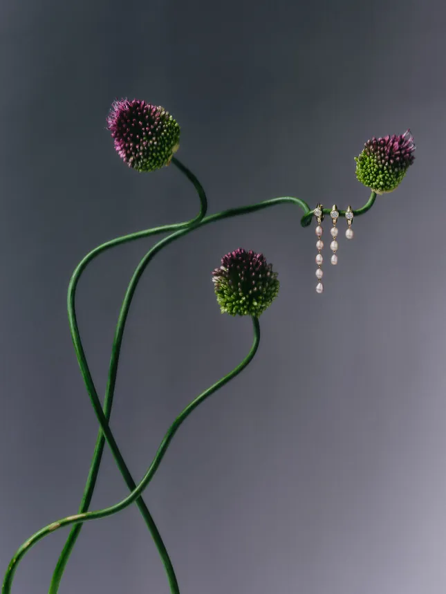 Uniform Object - Still Life