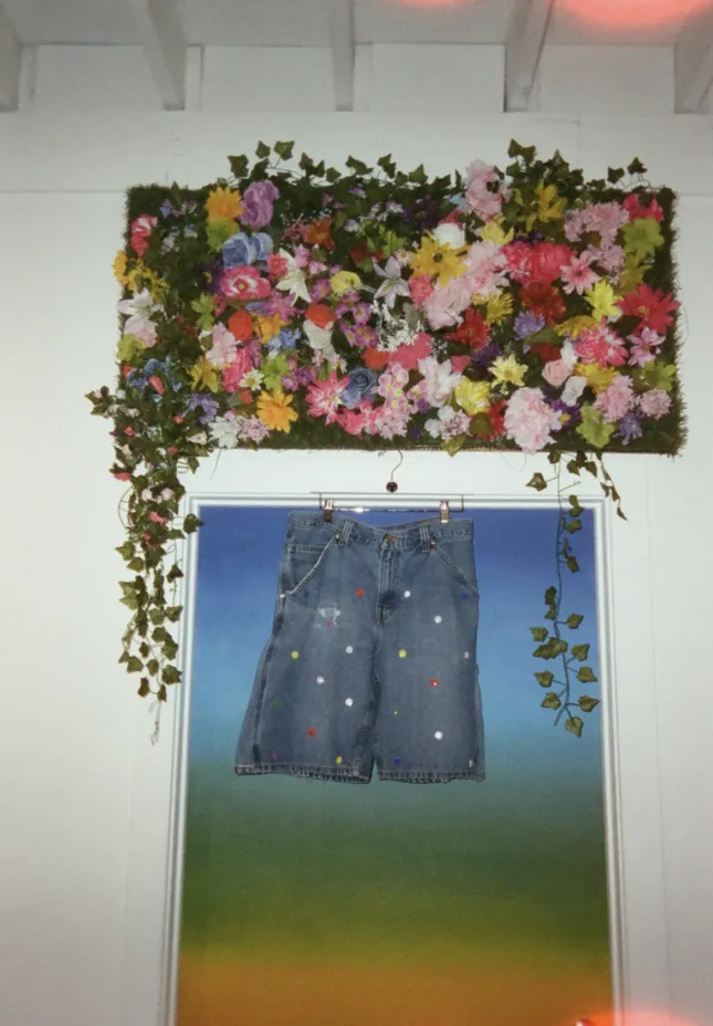 Project image
