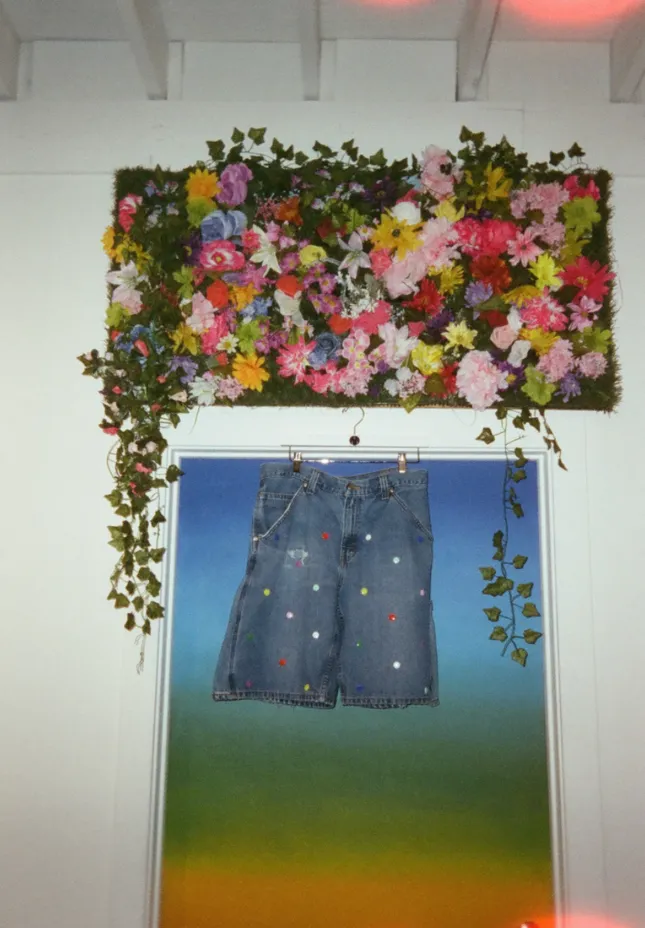 Project image