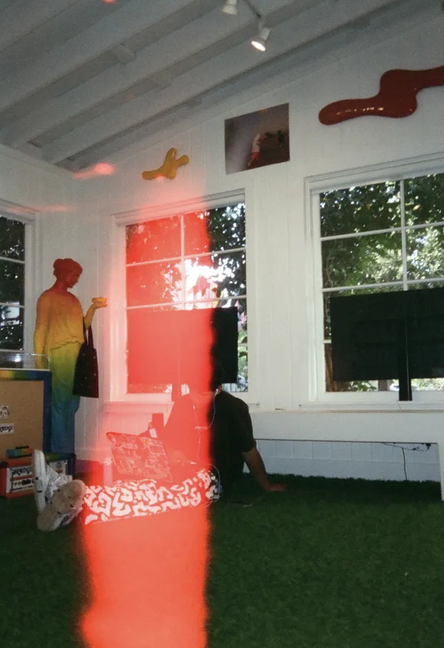 Project image