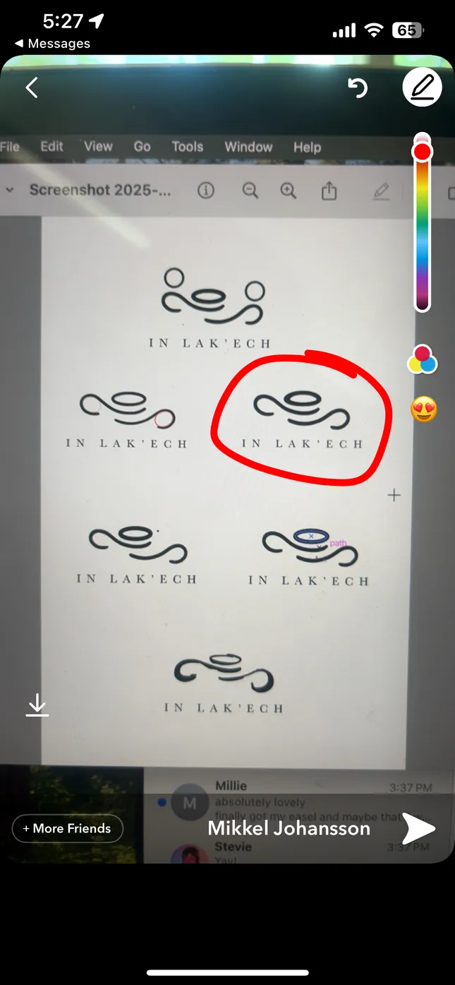 Project image