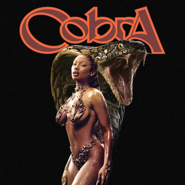Album Artwork