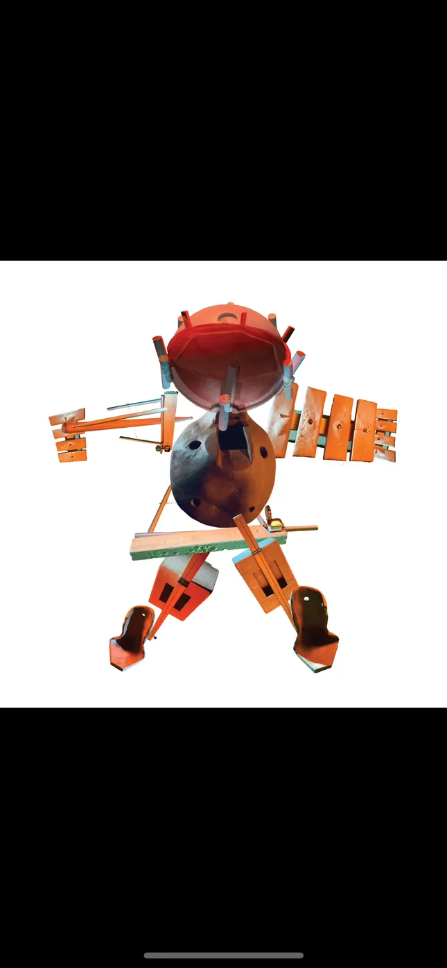 Project image