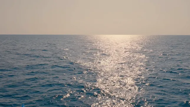 Row 400 Sizzle - Netflix