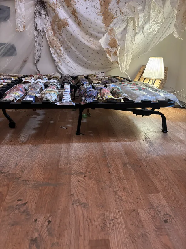 Project image