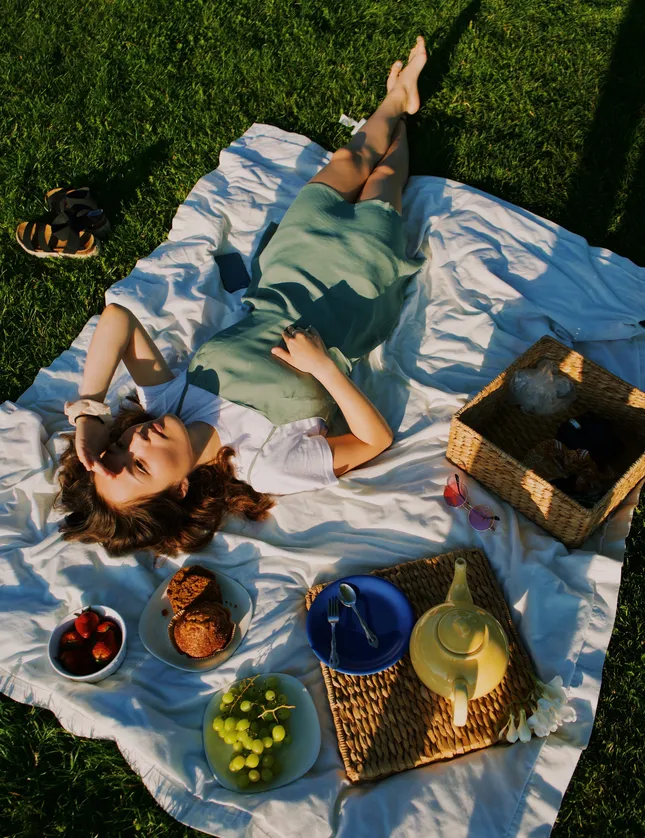 Summer Picnic Photoshoot