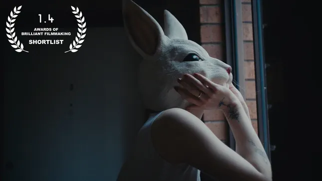 ‘From the Flash’ Documentary