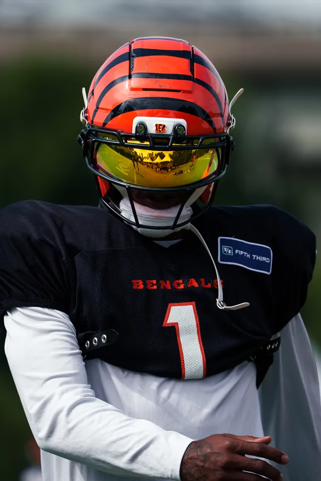 Bengals Camp