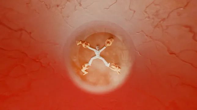 Project image