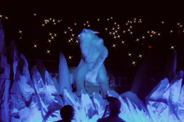 Project image