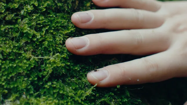 2025 Directors Reel