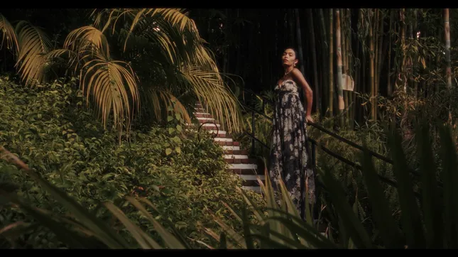 2025 Cinematography Reel
