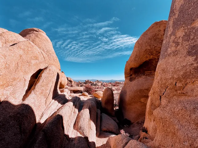 Red Desert