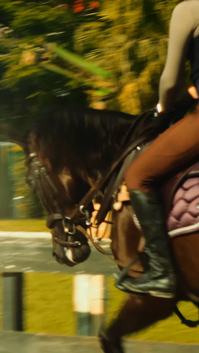 HORSEBACK RIDING