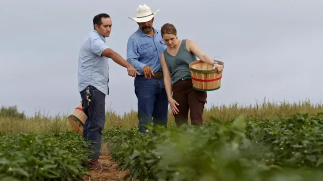 Intuit Enterprise Suite empowers Humble House Foods with real-time consolidated reporting