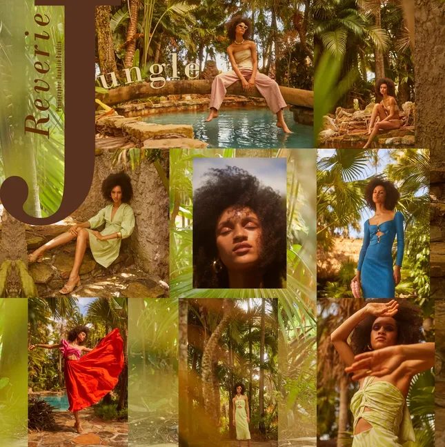 Jungle Reverie