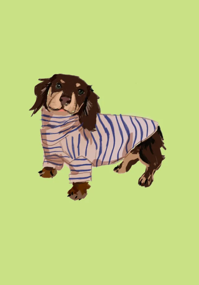 Hot Dog