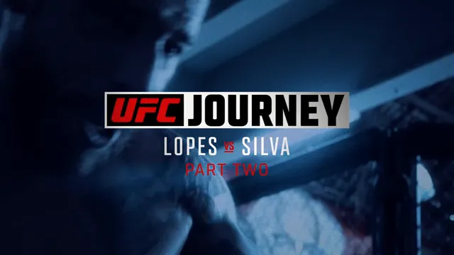 UFC  Journey