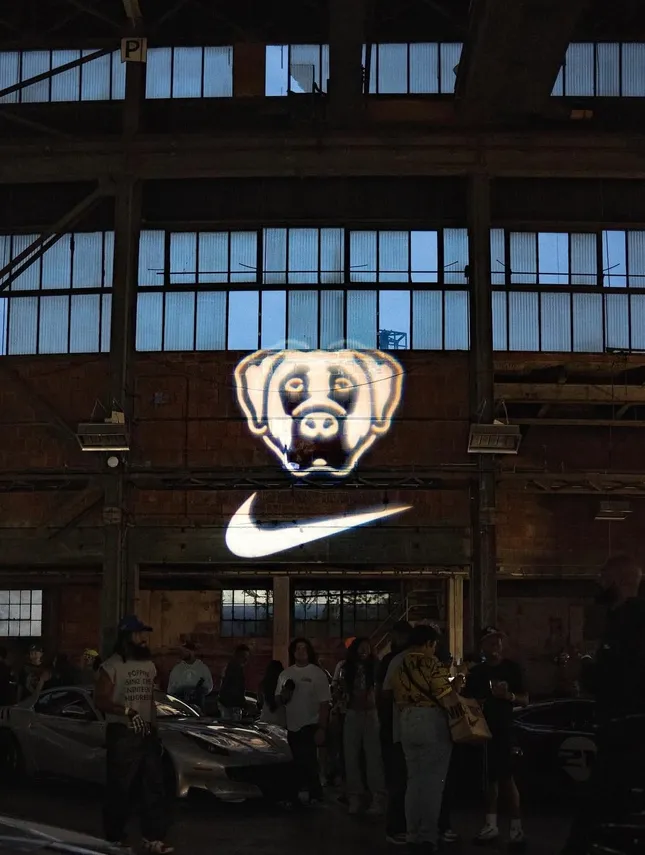 Project image