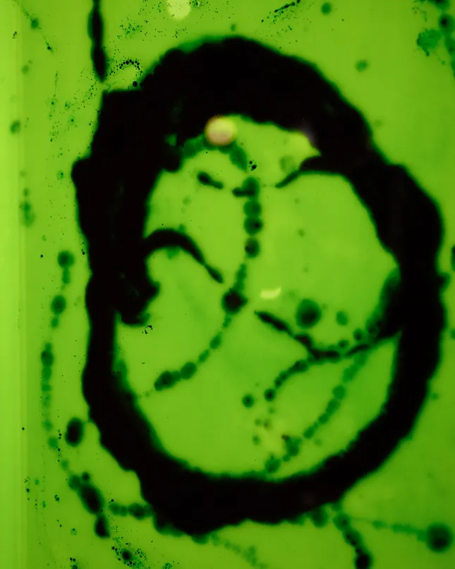 Project image