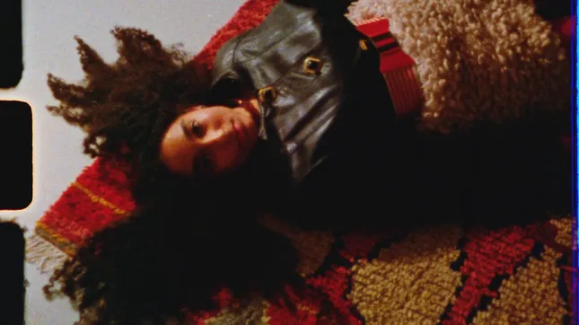 The Carpet Issue  |  Shot on super8