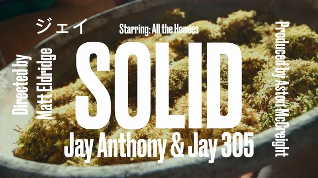 Solid - Jay Anthony & Jay 305