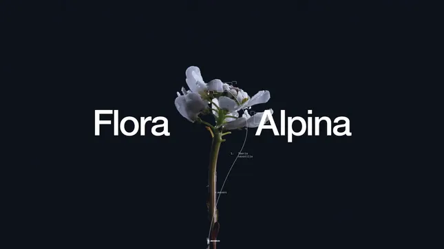 The North Face “Flora Alpina”