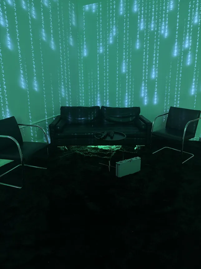 Project image