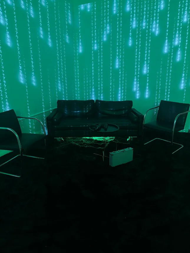Project image
