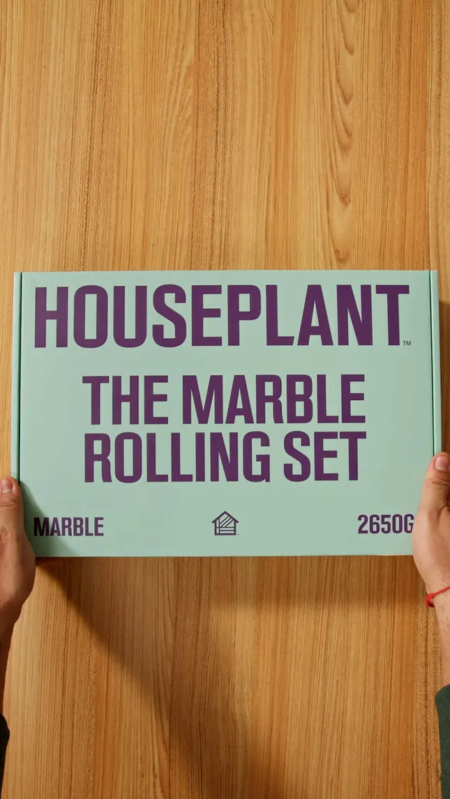 Houseplant