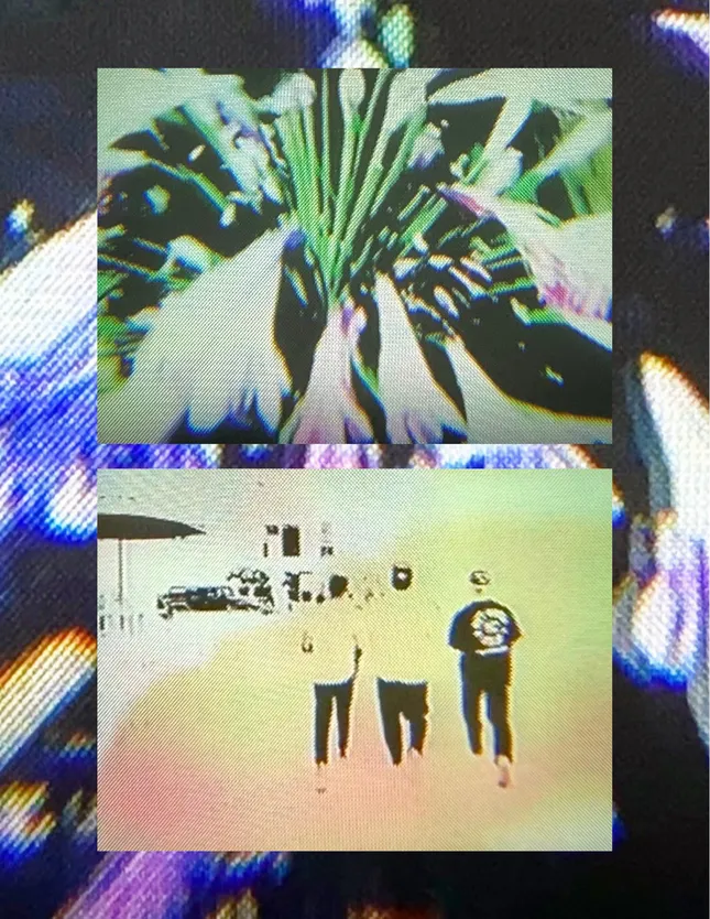 Project image