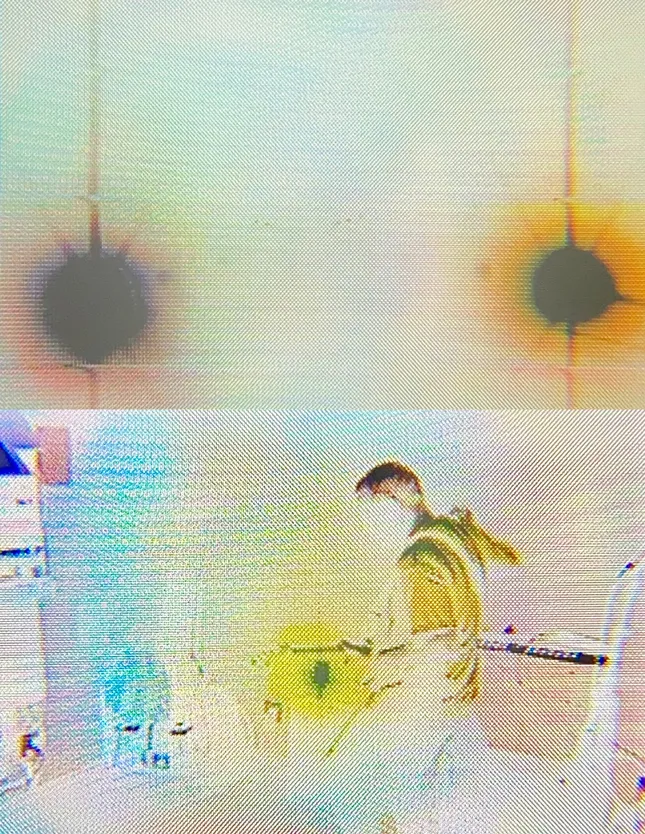Project image