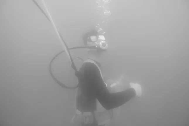 Project image