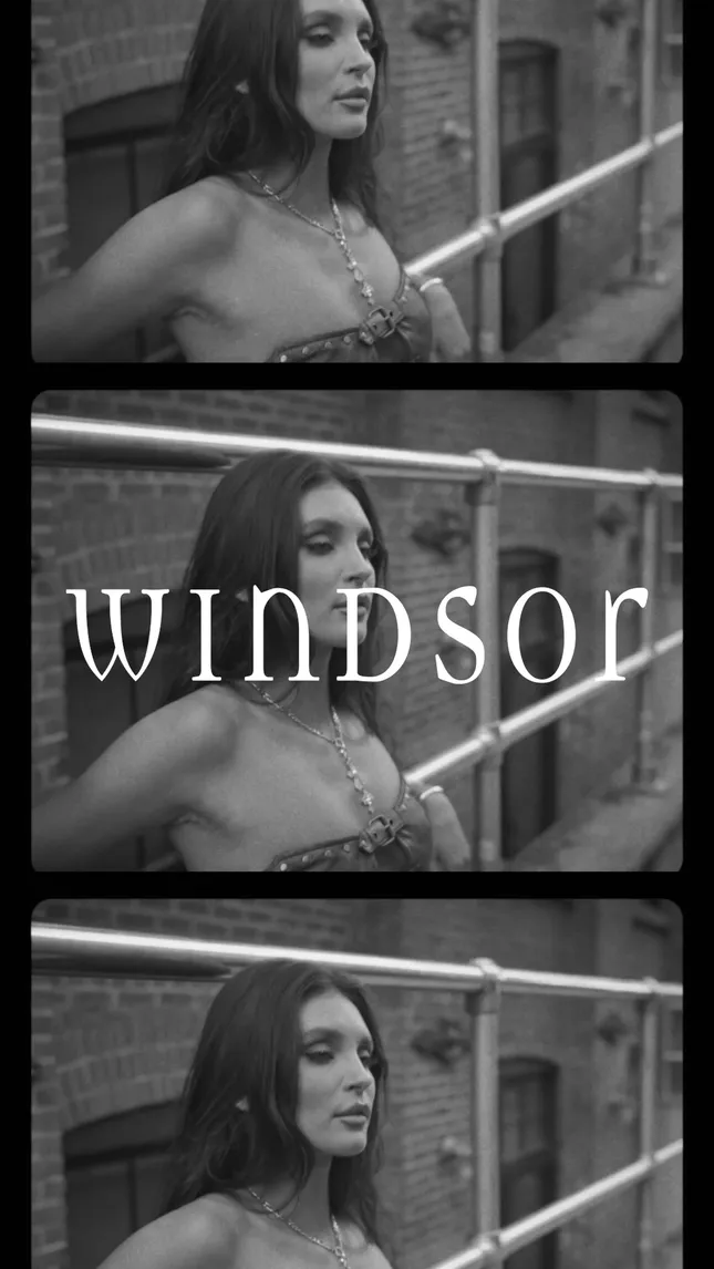 Windsor Campaign