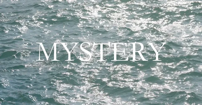 Mystery: Kacie Brown and The Vision